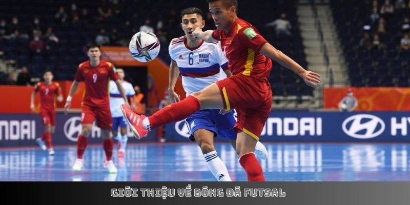 Lưu ý quan trọng khi cược Futsal tại EE88
